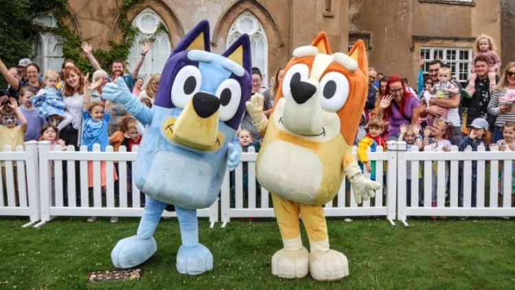 Bluey & Bingo